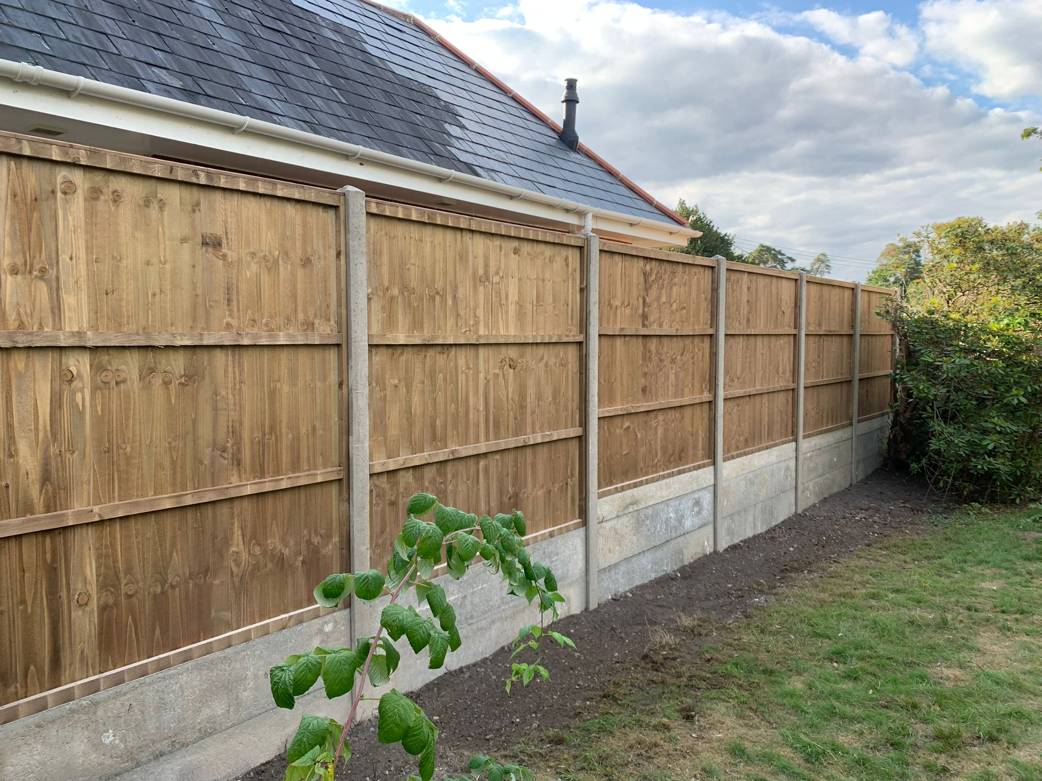 WhatsApp Image 2025-09-11 at 00.18.47 (1)